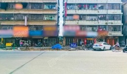普宁网友爆料新闻最新,惊现街头奇观，引发网友热议！