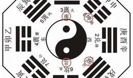 深圳八卦爆料网官网最新,揭秘最新热点事件，深度解析社会现象