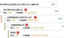 深圳八卦爆料网官网最新,揭秘最新热点事件，深度解析社会现象