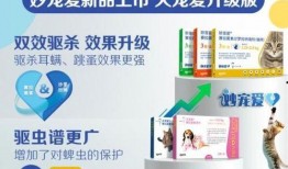宠物医院最新爆料,宠物健康护理新趋势与常见误区